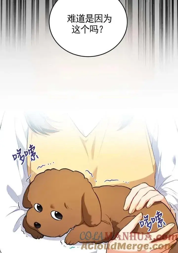 《兽医先生！你好？》第03话图40