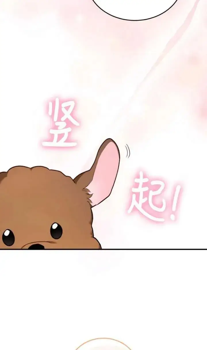 《兽医先生！你好？》第03话图69