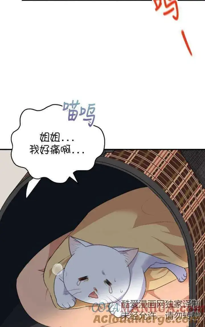 《兽医先生！你好？》第05话图33