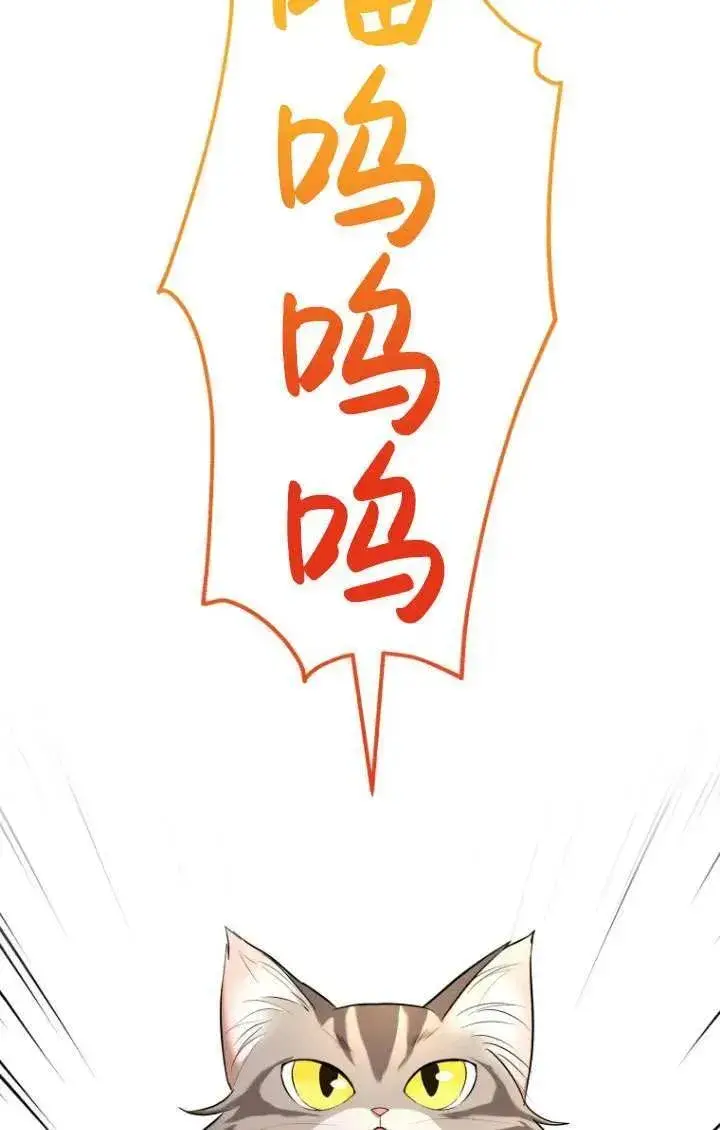 《兽医先生！你好？》第06话图47