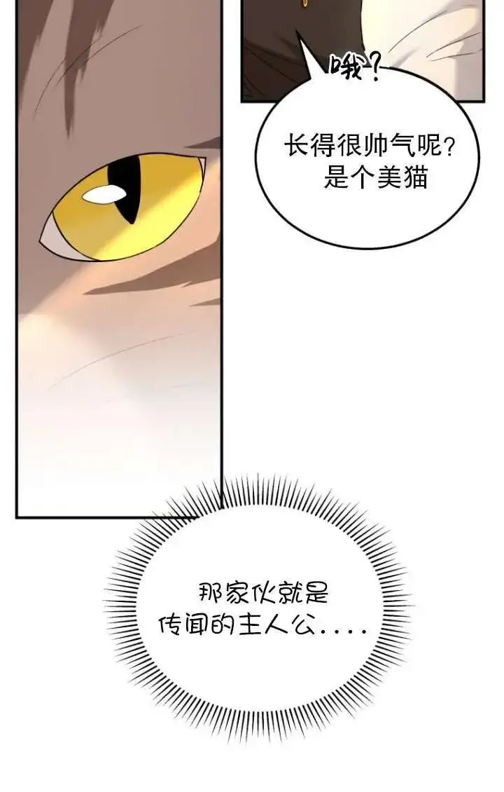 《兽医先生！你好？》第06话图50