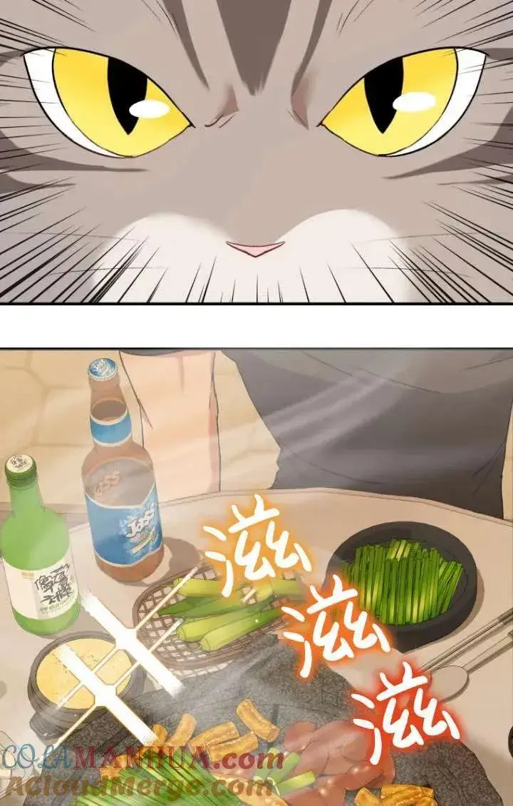 《兽医先生！你好？》第06话图53