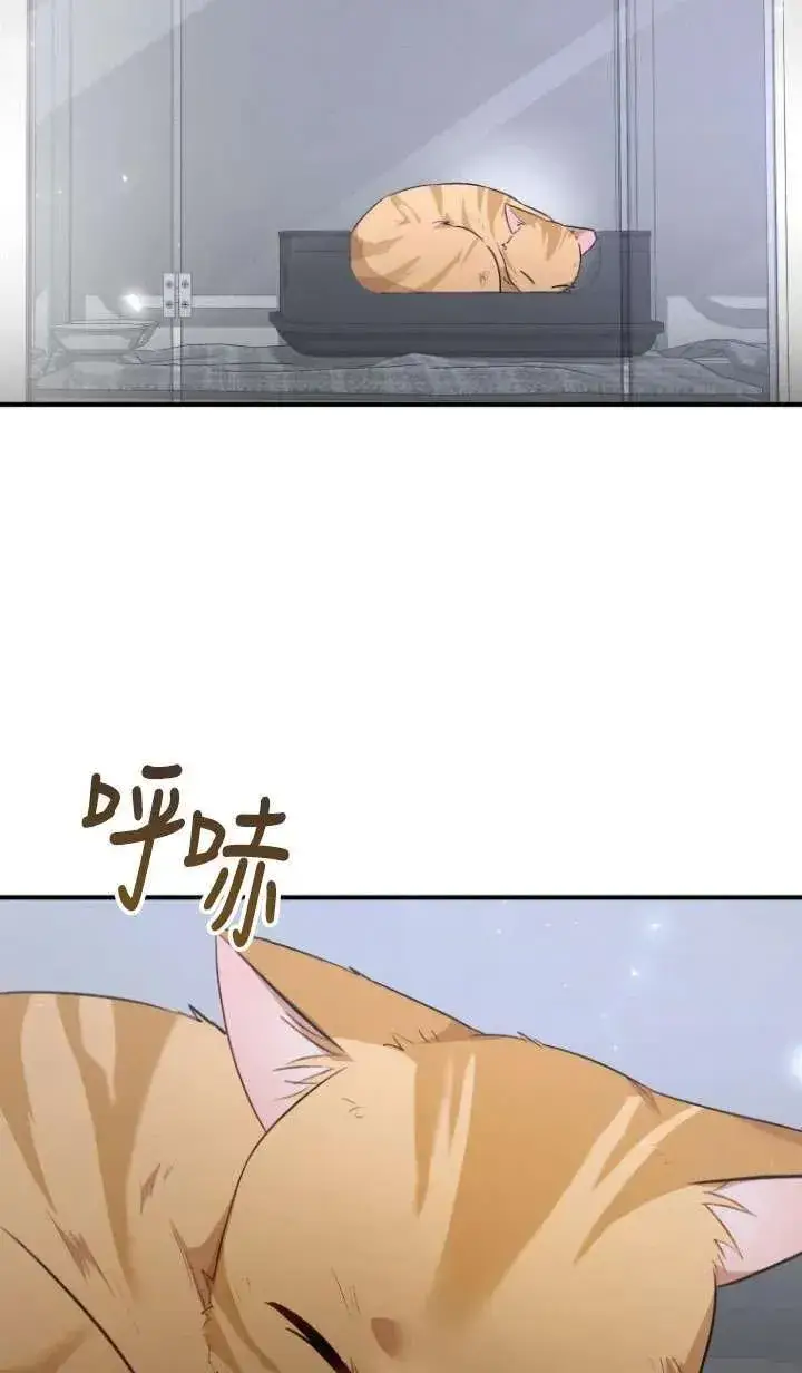 《兽医先生！你好？》第07话图18