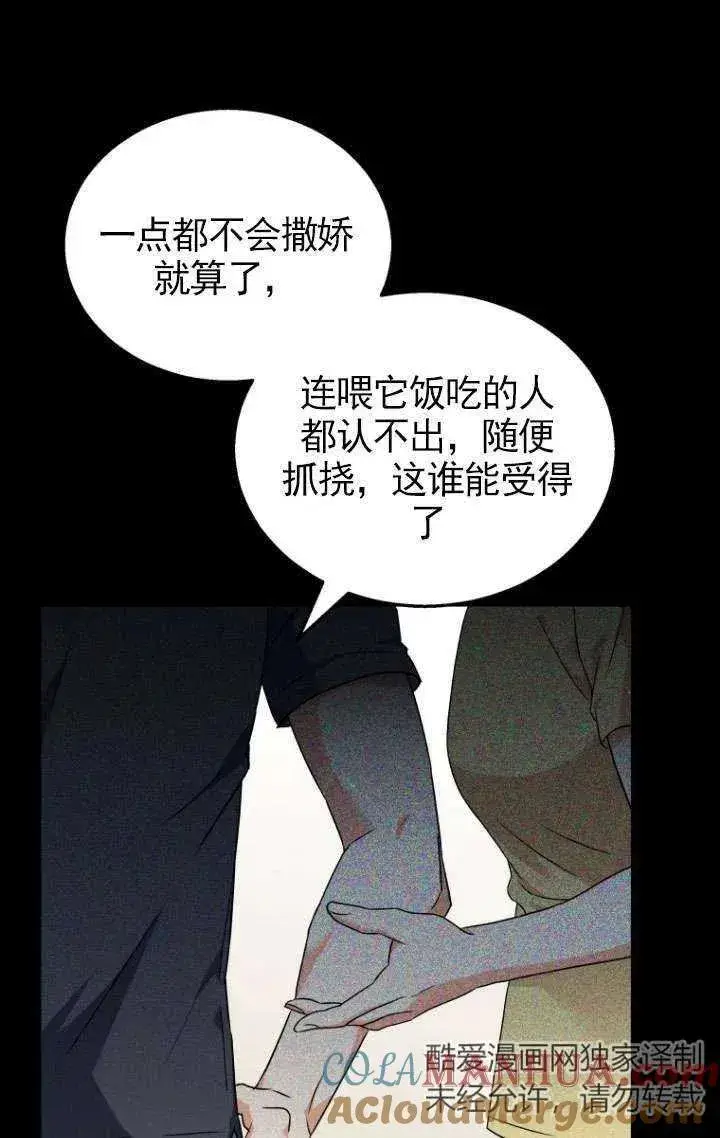 《兽医先生！你好？》第07话图29