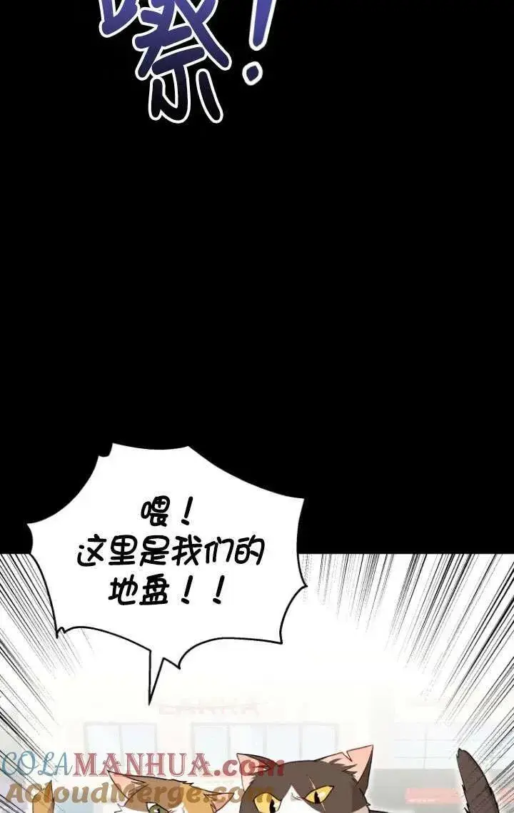 《兽医先生！你好？》第07话图37