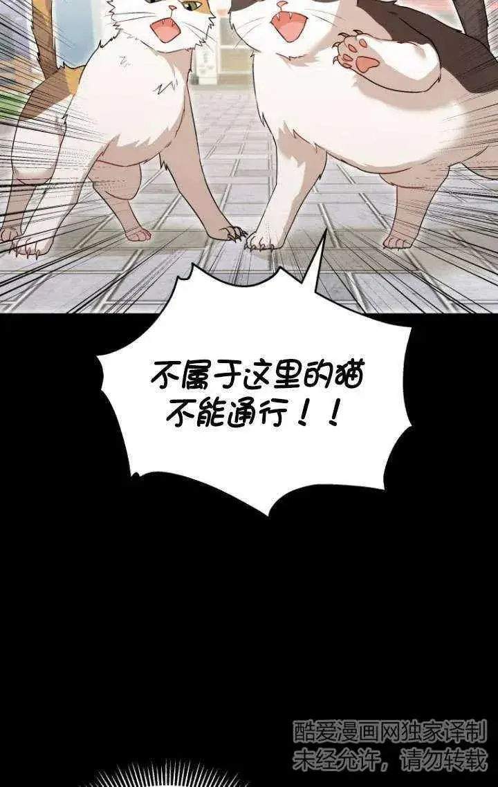《兽医先生！你好？》第07话图38