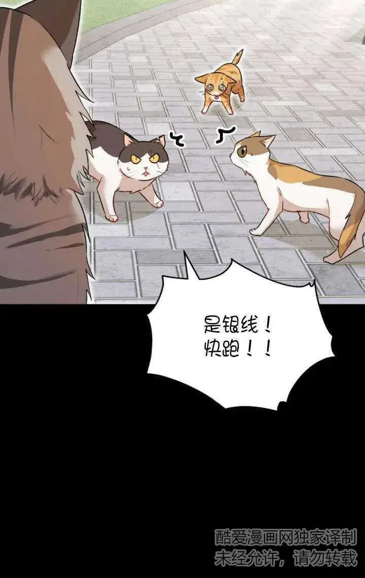《兽医先生！你好？》第07话图43