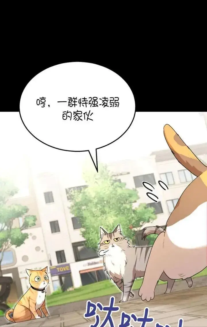 《兽医先生！你好？》第07话图44