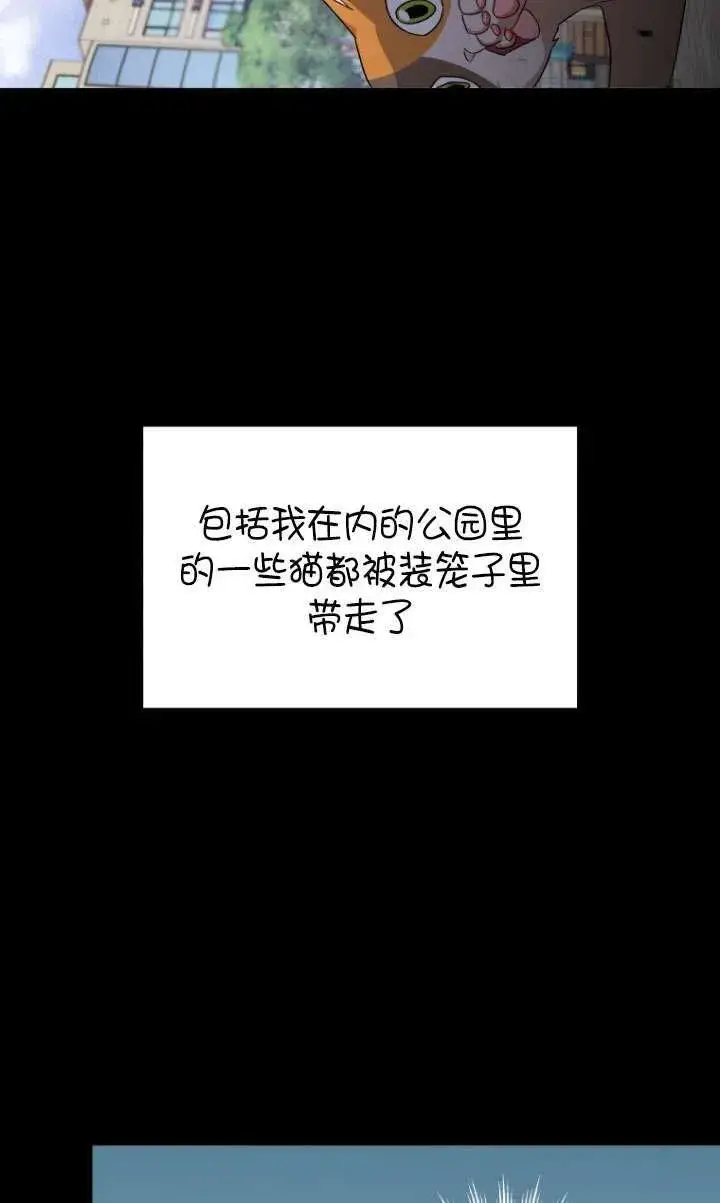 《兽医先生！你好？》第07话图55