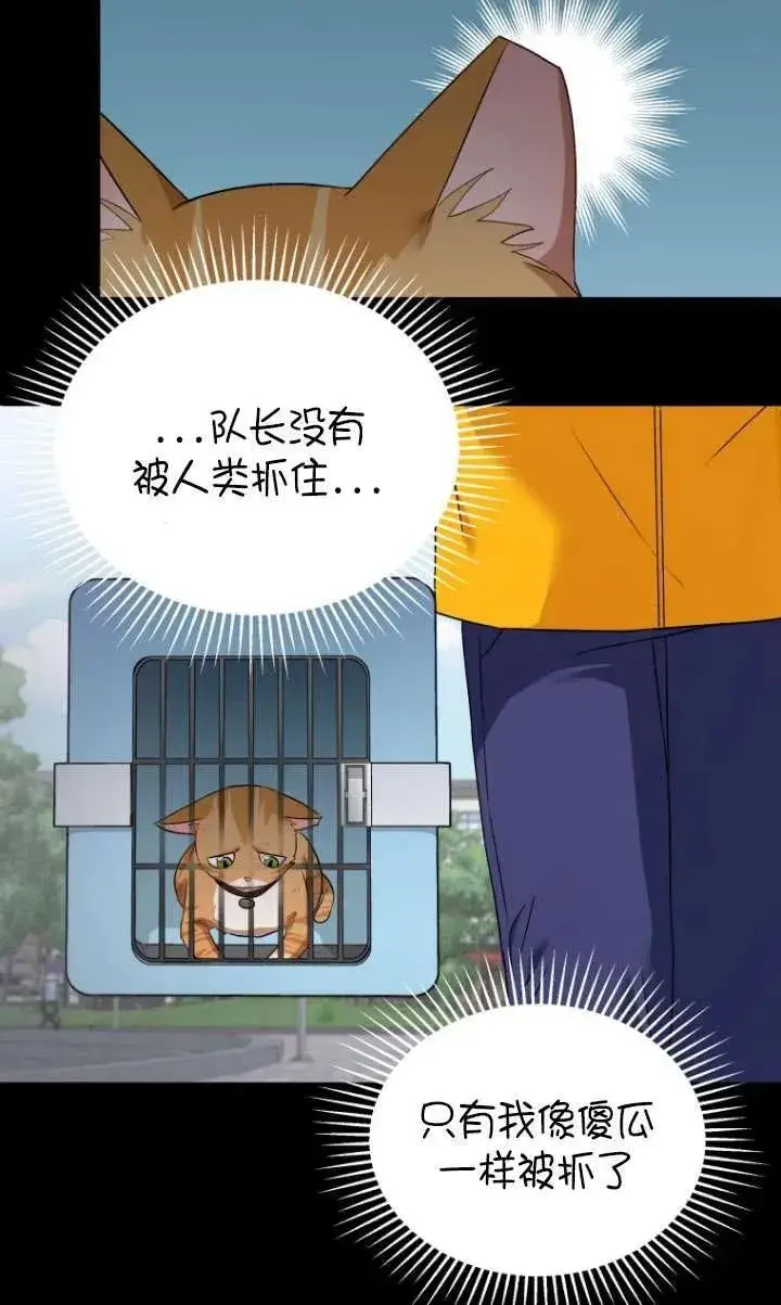 《兽医先生！你好？》第07话图56