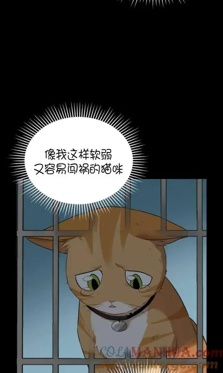 《兽医先生！你好？》第07话图57