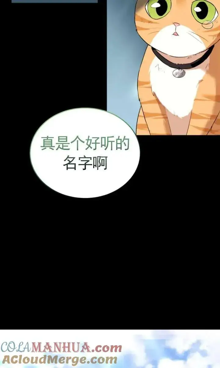 《兽医先生！你好？》第07话图61