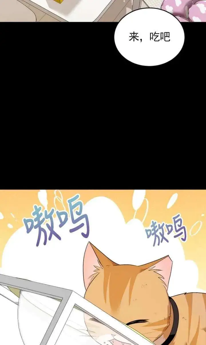 《兽医先生！你好？》第07话图64