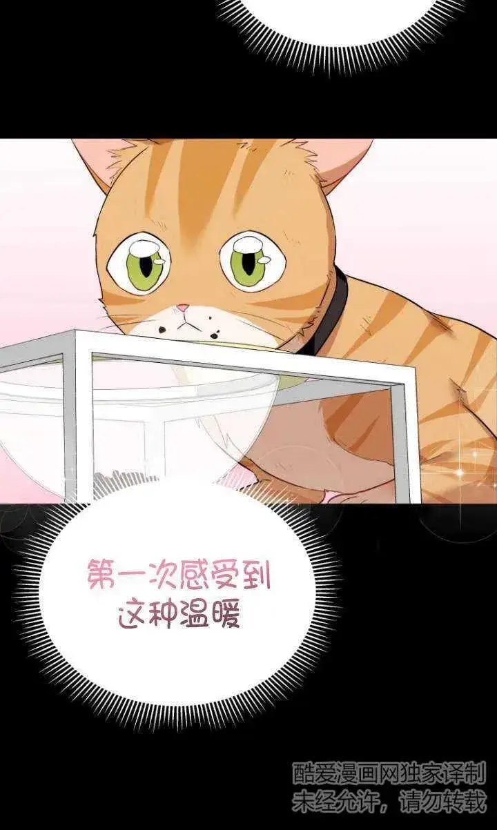 《兽医先生！你好？》第07话图67