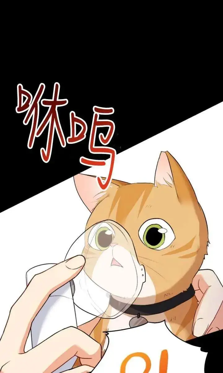 《兽医先生！你好？》第07话图70