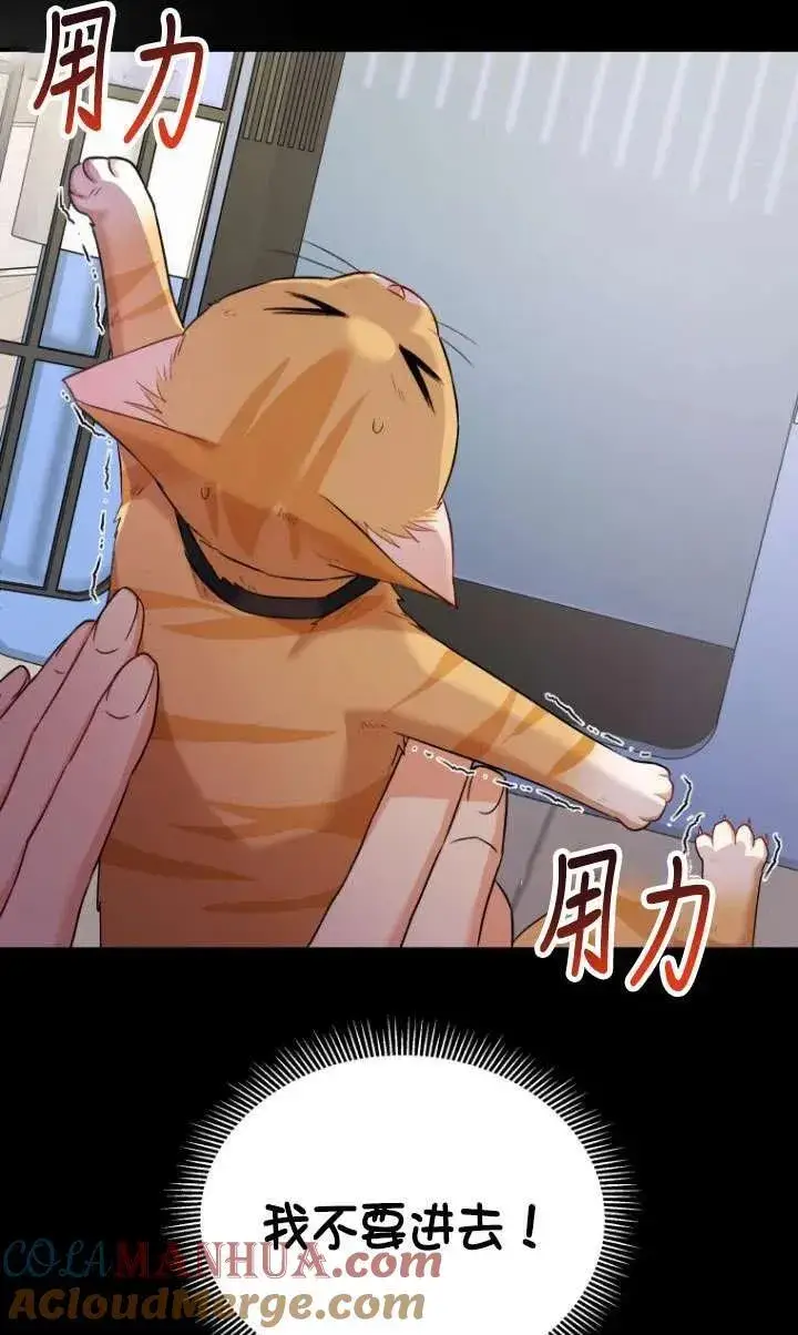 《兽医先生！你好？》第07话图73