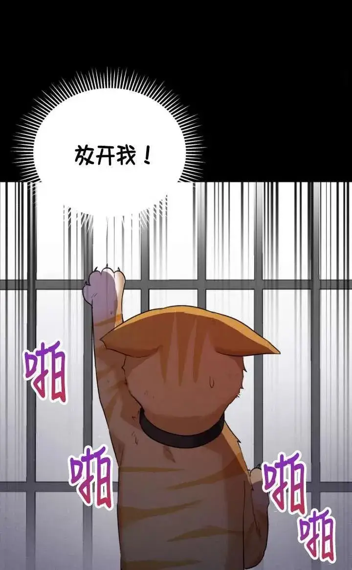 《兽医先生！你好？》第07话图75