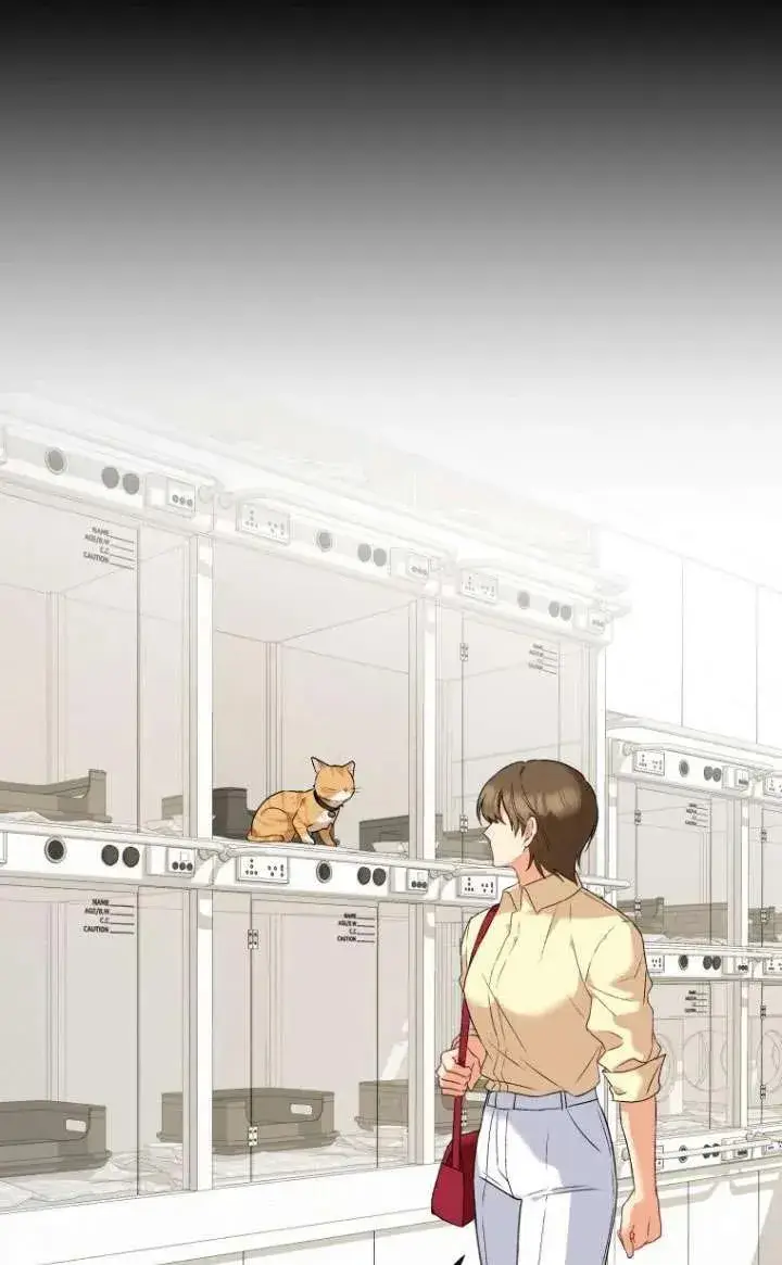 《兽医先生！你好？》第07话图82