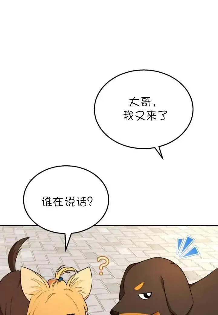 《兽医先生！你好？》第08话图108
