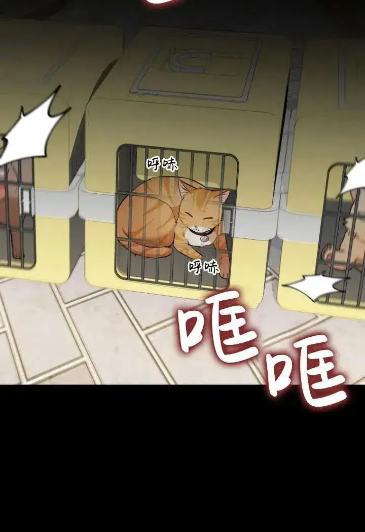 《兽医先生！你好？》第08话图18