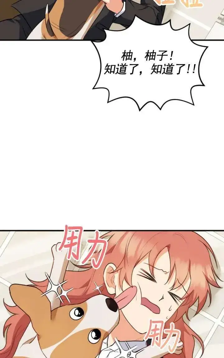 《兽医先生！你好？》第09话图12