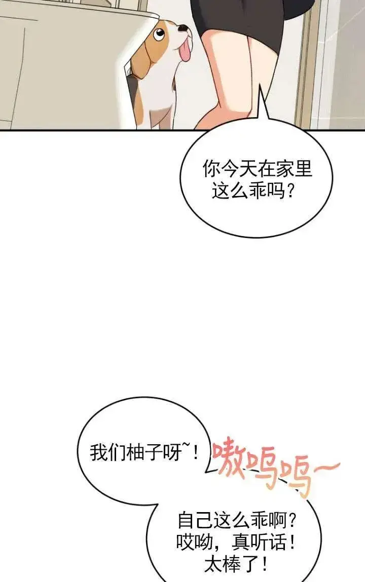 《兽医先生！你好？》第09话图20