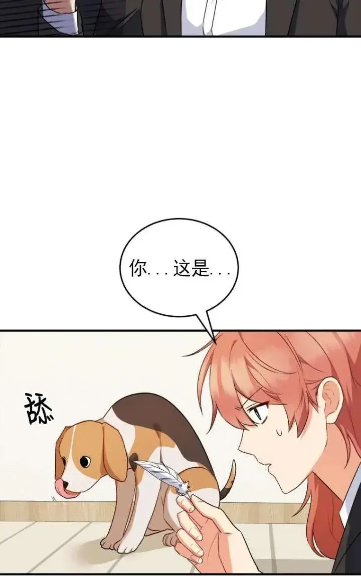 《兽医先生！你好？》第09话图23