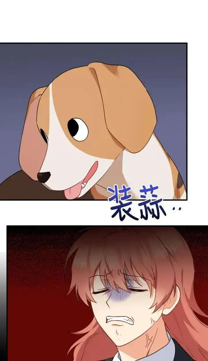 《兽医先生！你好？》第09话图27