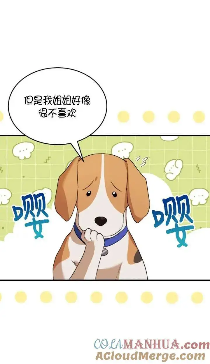 《兽医先生！你好？》第09话图40