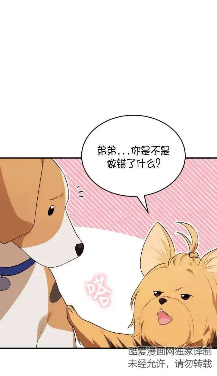 《兽医先生！你好？》第09话图42