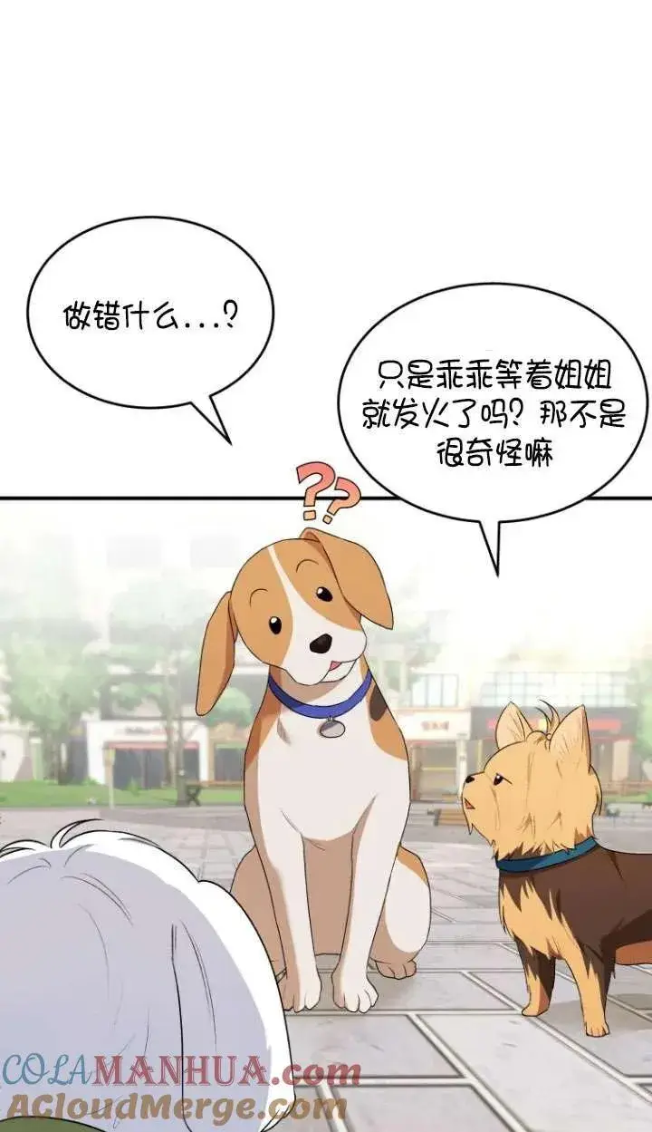 《兽医先生！你好？》第09话图43