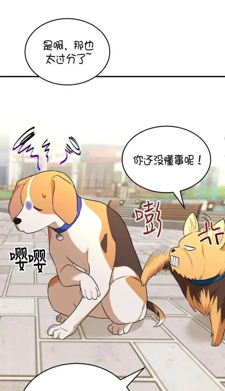 《兽医先生！你好？》第09话图48