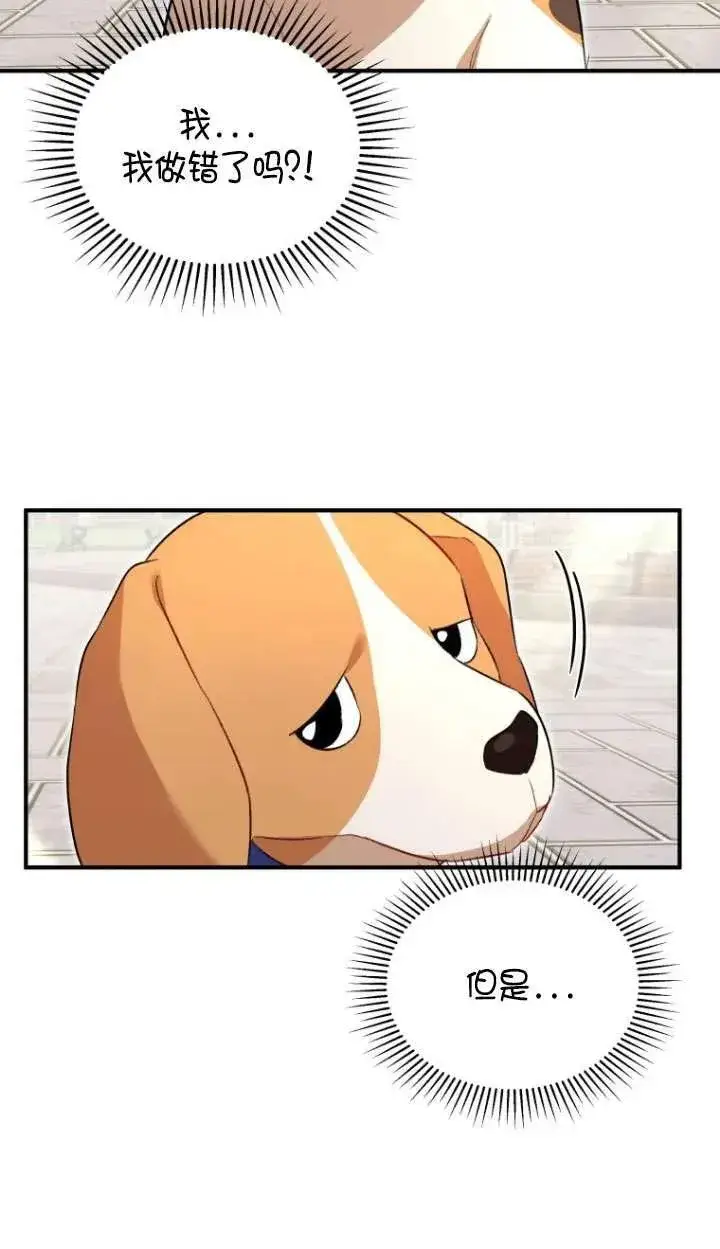 《兽医先生！你好？》第09话图50