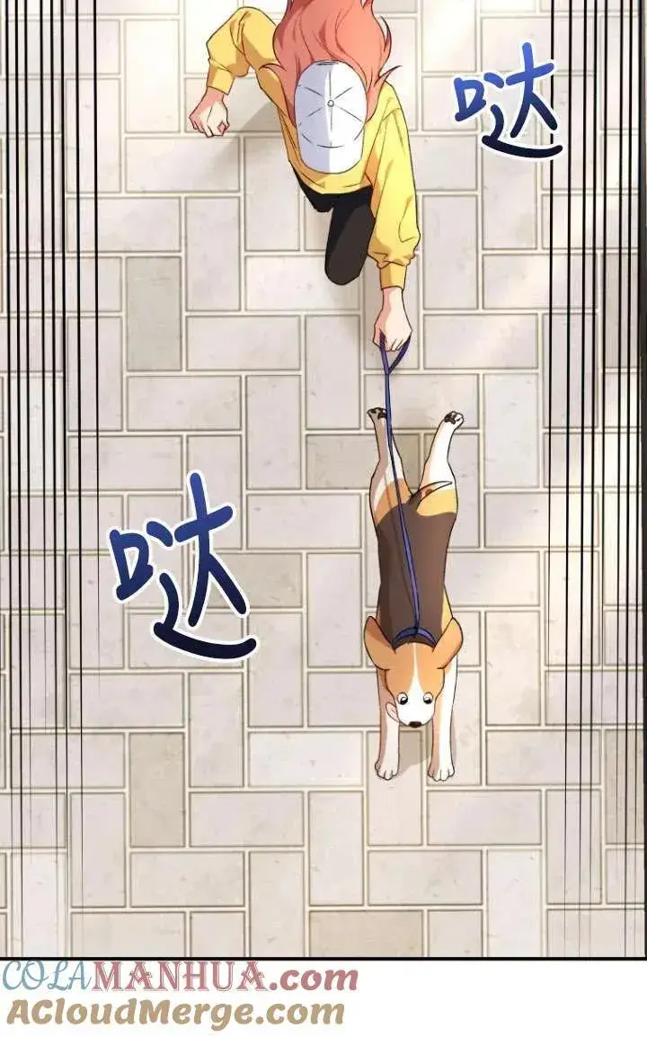 《兽医先生！你好？》第09话图67