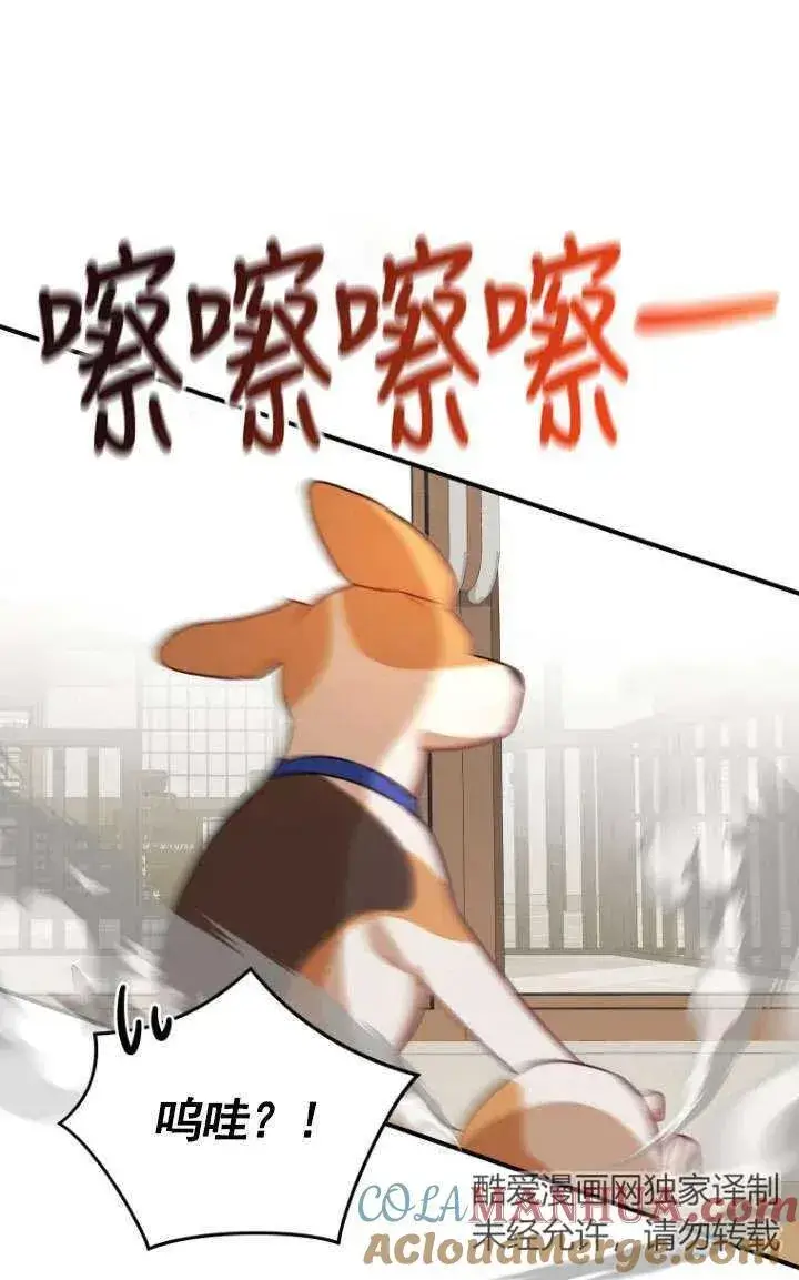 《兽医先生！你好？》第09话图70
