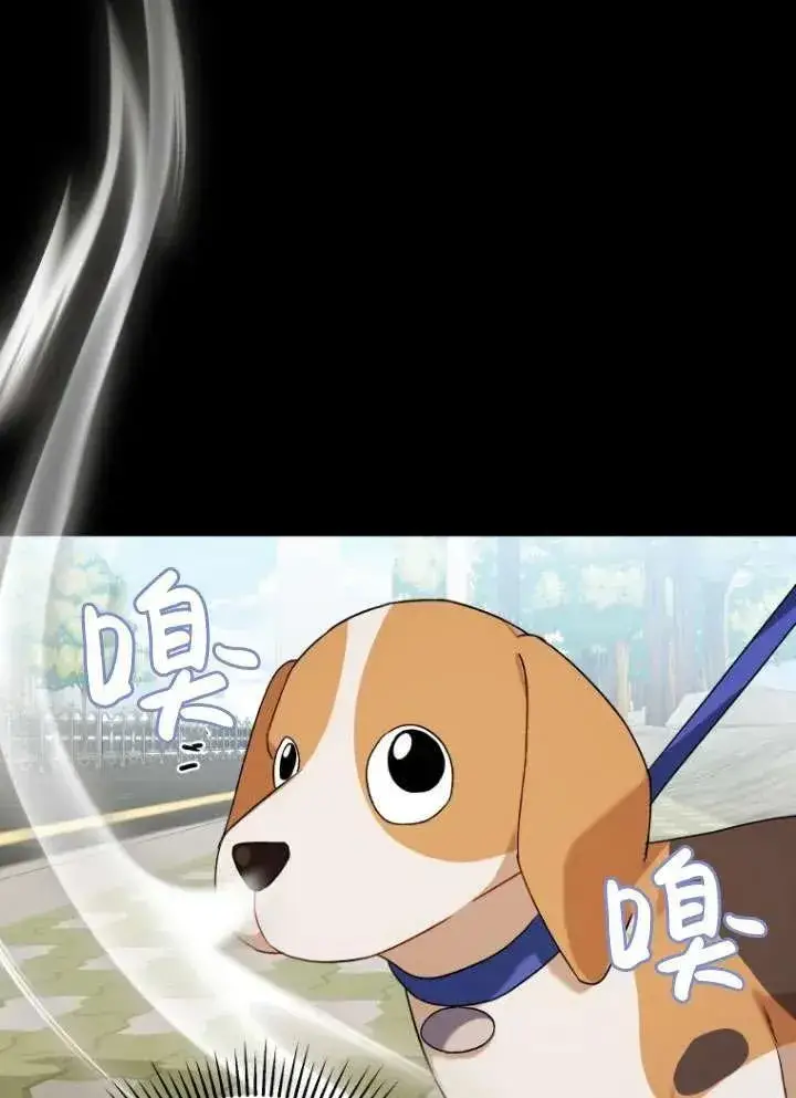 《兽医先生！你好？》第12话图36