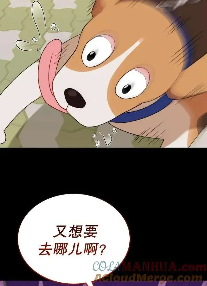 《兽医先生！你好？》第12话图40