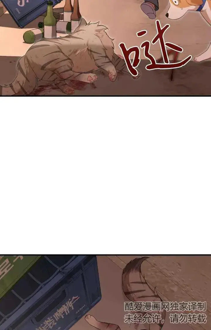 《兽医先生！你好？》第13话图2
