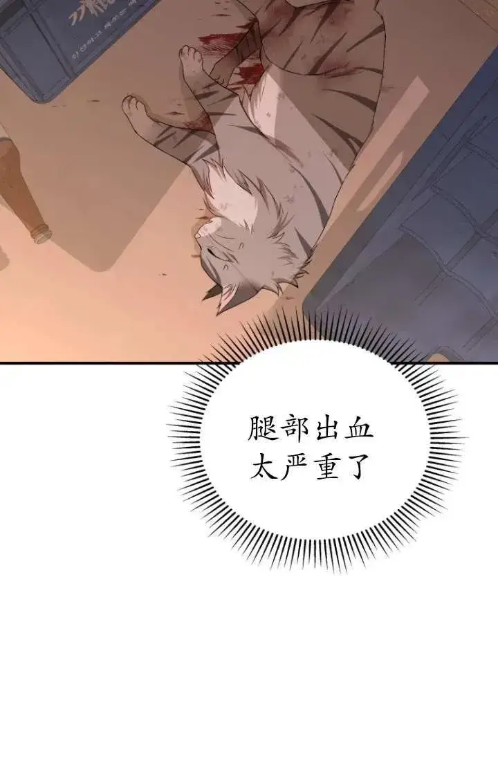 《兽医先生！你好？》第13话图3