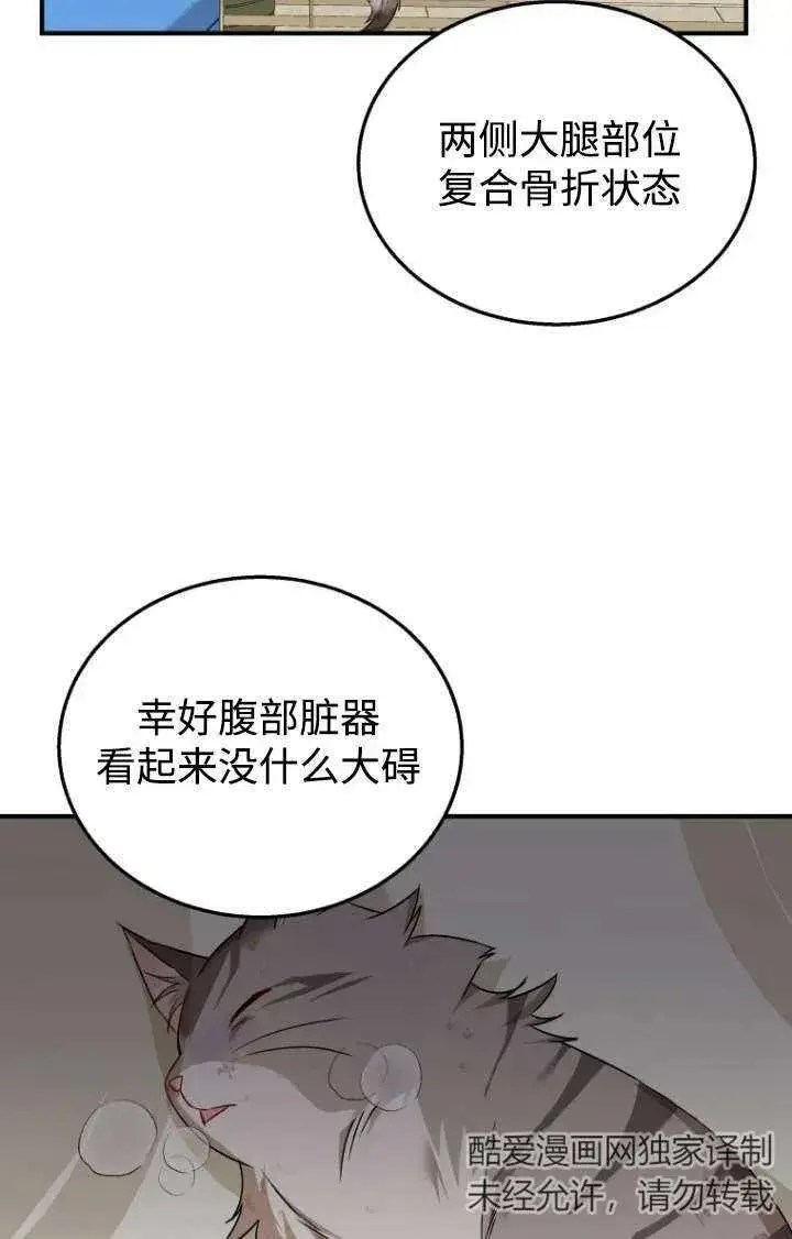 《兽医先生！你好？》第13话图34