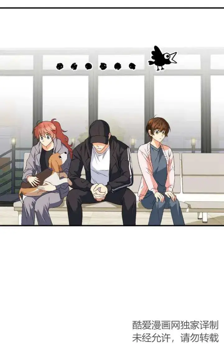 《兽医先生！你好？》第13话图48