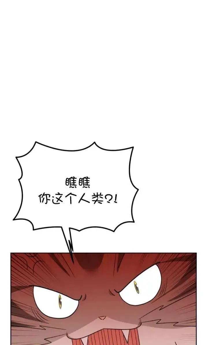 《兽医先生！你好？》第15话图26