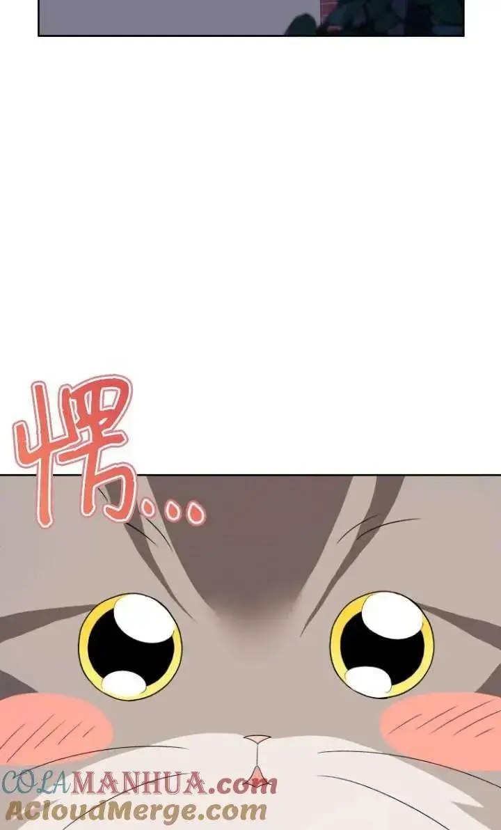《兽医先生！你好？》第15话图45