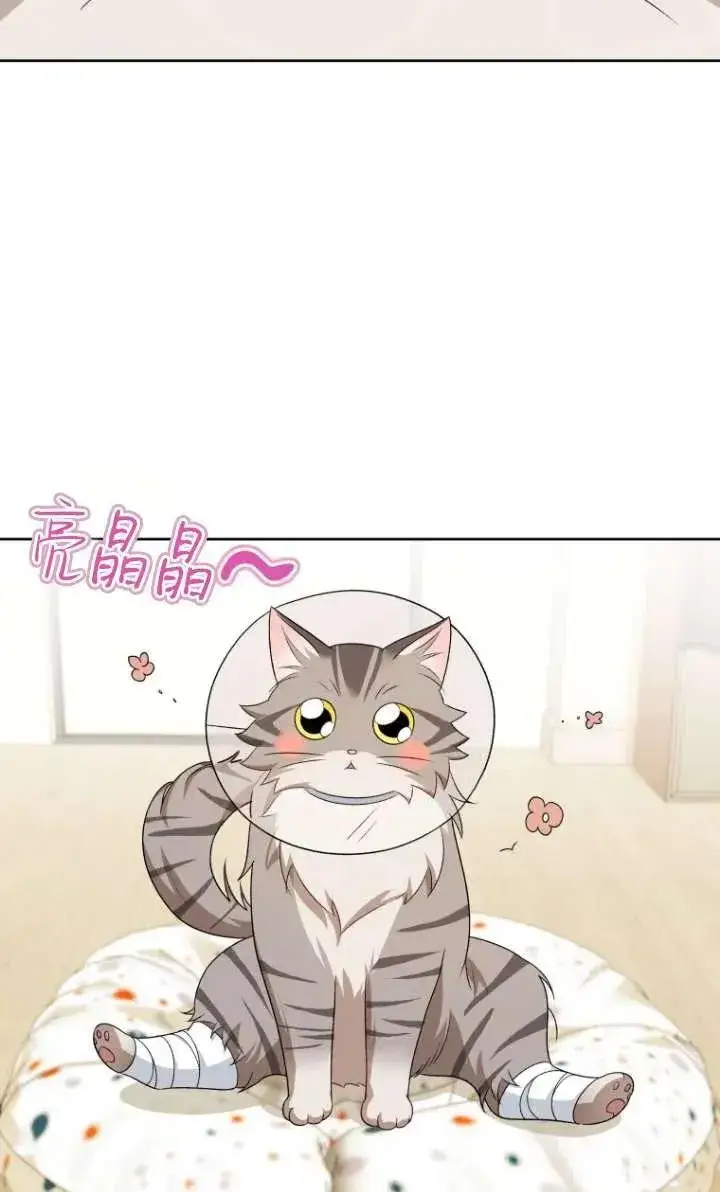 《兽医先生！你好？》第15话图46