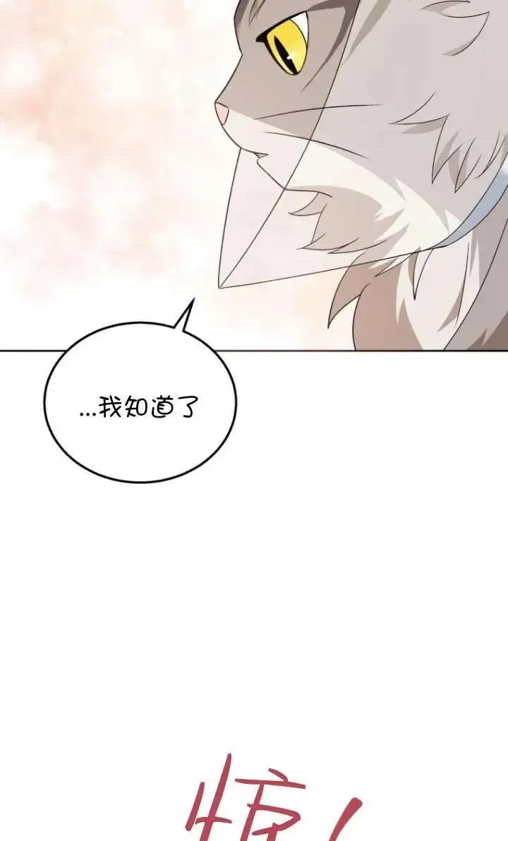 《兽医先生！你好？》第15话图6