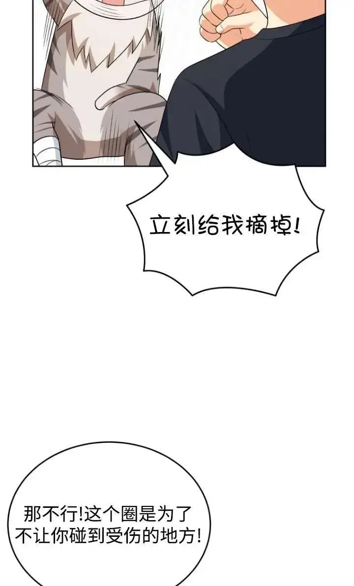 《兽医先生！你好？》第15话图62