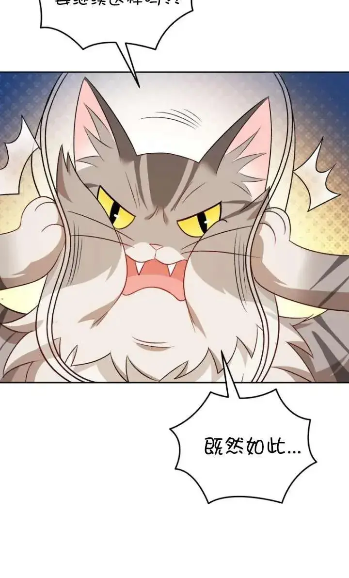 《兽医先生！你好？》第15话图66