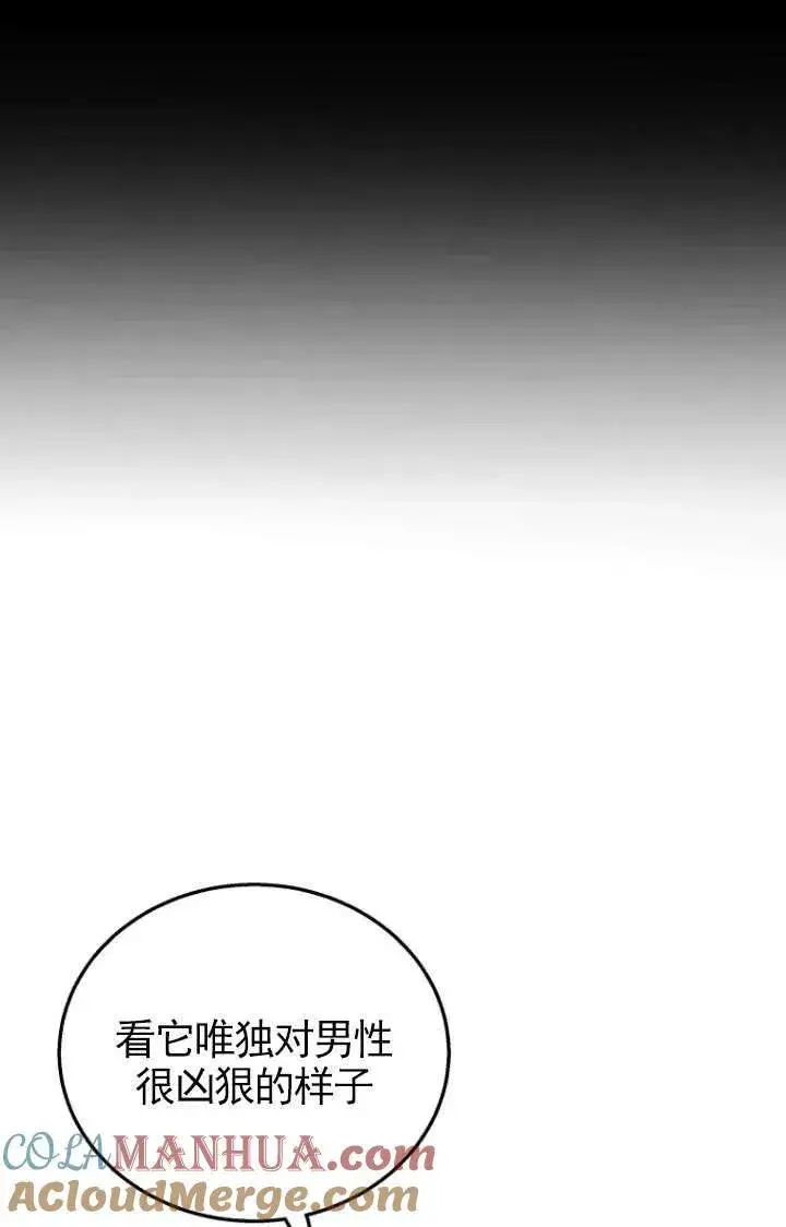 《兽医先生！你好？》第17话图31
