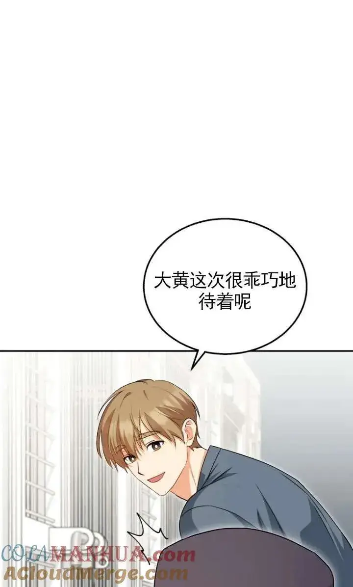 《兽医先生！你好？》第17话图76