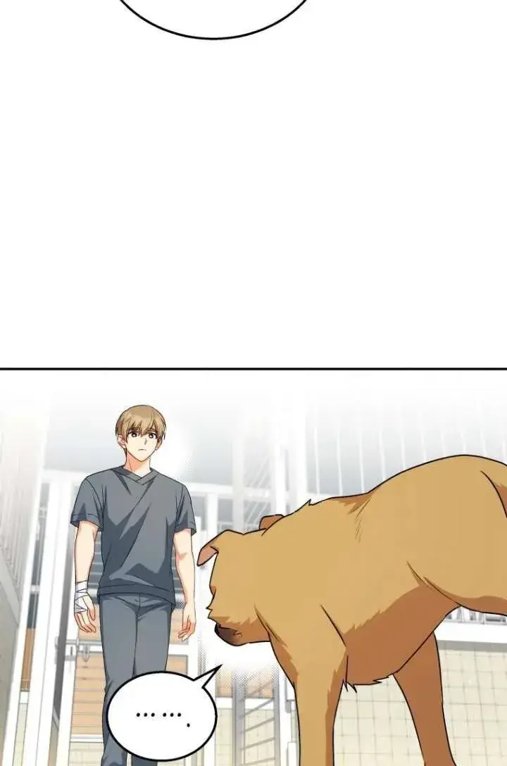 《兽医先生！你好？》第19话图12